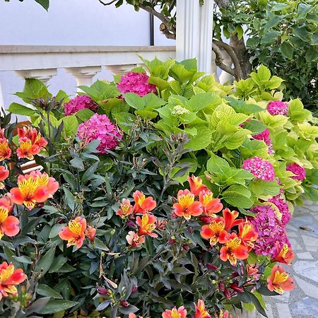 Bed & Breakfast Rab Palit Exterior foto